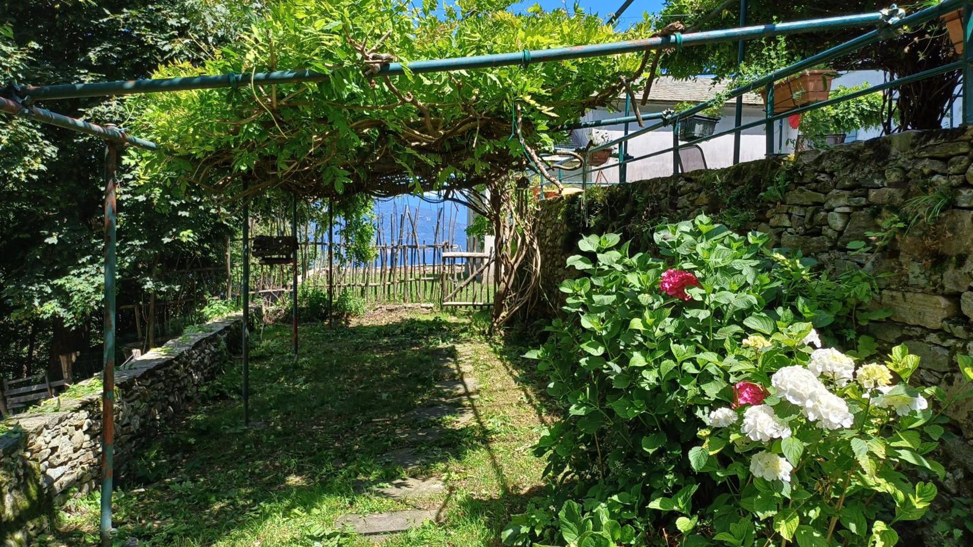 La Stanza Del Bosco Apartment Arcumeggia Exterior foto
