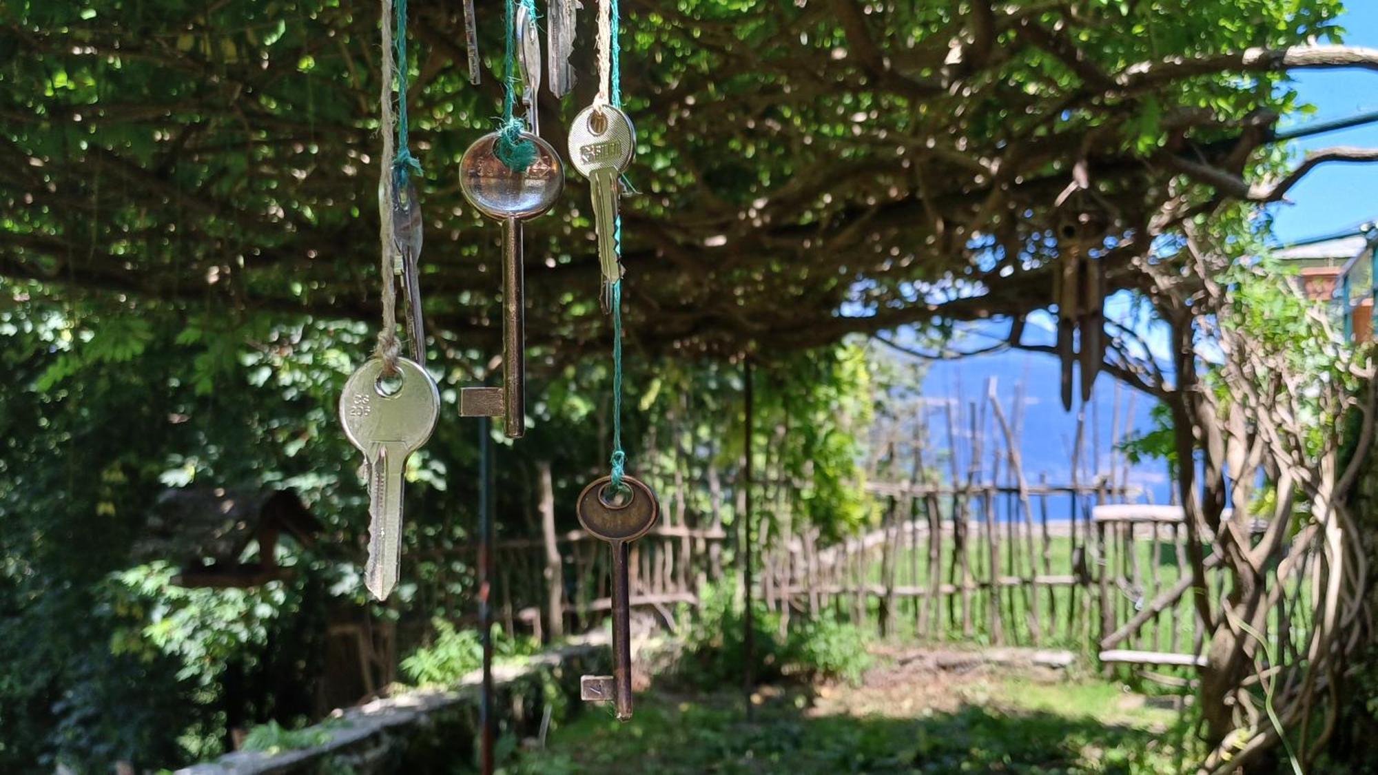 La Stanza Del Bosco Apartment Arcumeggia Exterior foto